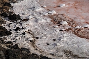 K1024_DSC02431
