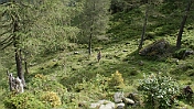 DSC00604