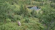 DSC00623