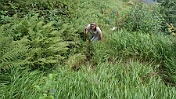 DSC00629