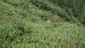 DSC00632
