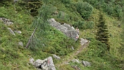 DSC00639