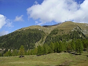 PICT0311