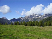 PICT0312