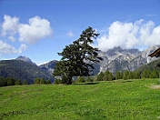 PICT0323