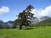 PICT0324