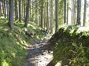 PICT0334