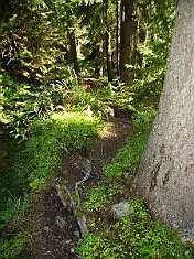PICT0339
