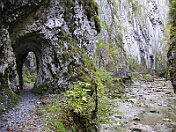 PICT0234
