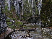 PICT0235