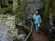 PICT0236