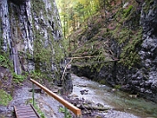 PICT0238