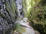 PICT0242