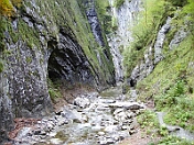 PICT0246