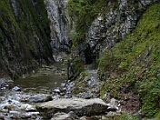 PICT0247