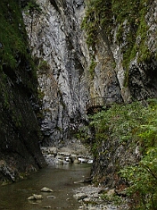 PICT0253