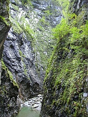 PICT0255