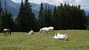 DSC00060
