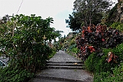 K1600_DSC01367