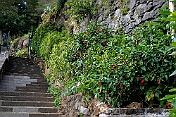 K1600_DSC01368