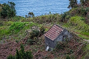 K1600_DSC01626