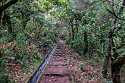 K1600_DSC01633
