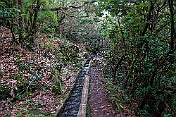 K1600_DSC01636