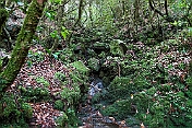 K1600_DSC01642