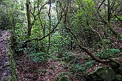 K1600_DSC01643