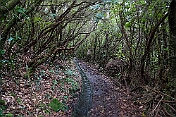 K1600_DSC01646