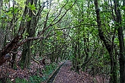 K1600_DSC01652