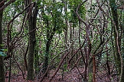 K1600_DSC01656