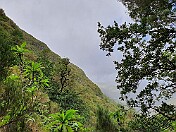 K1600_20200205_113110