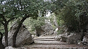 DSC01344