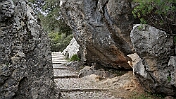 DSC01345