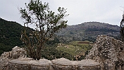 DSC01356