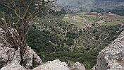 DSC01357