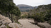 DSC01364