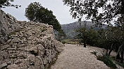 DSC01365