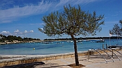 DSC01220