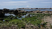 DSC01231