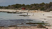 DSC01238