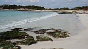 DSC01242