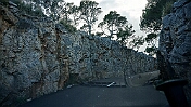 K1024_DSC04583