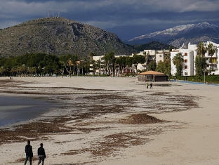 Mallorca im Februar 2015