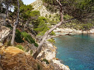 Cala Murta Runde von Bonaire