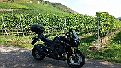 K1024_20130829_141546