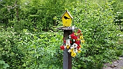 K1024_20150517_152822