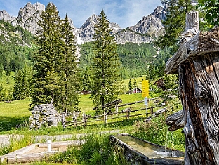 Oberhofalm Runde von Neuberg