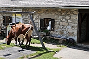 K1600_P1001716